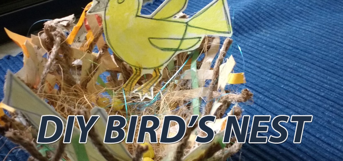 DIY-birds nest