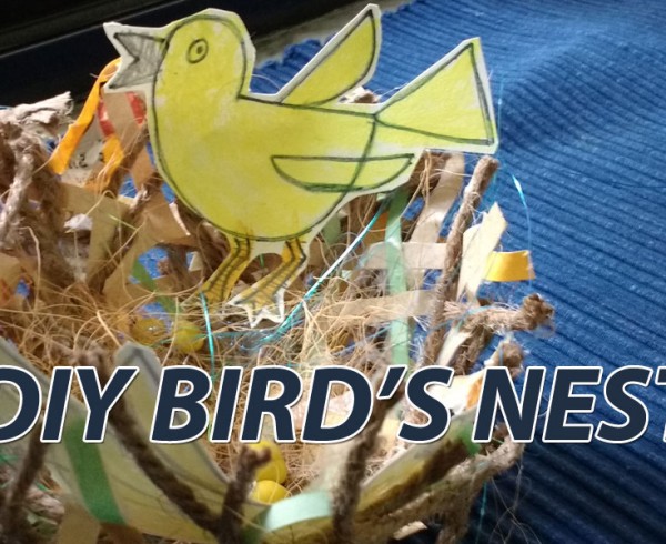 DIY-birds nest