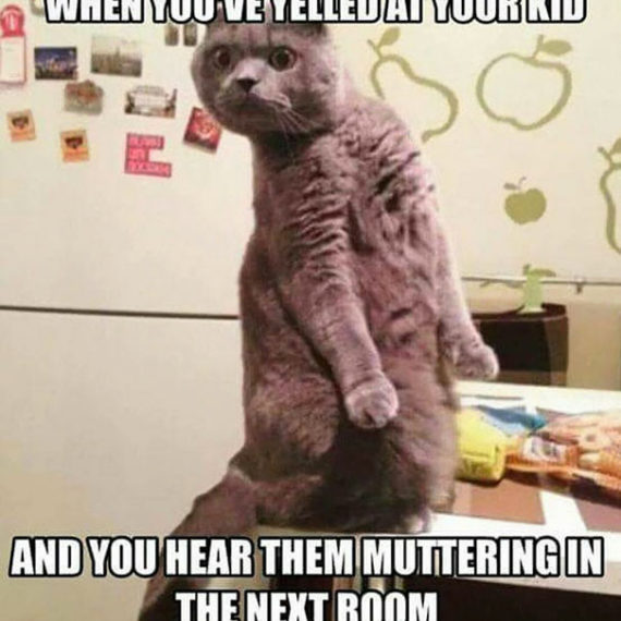 Funniest Parenting Meme