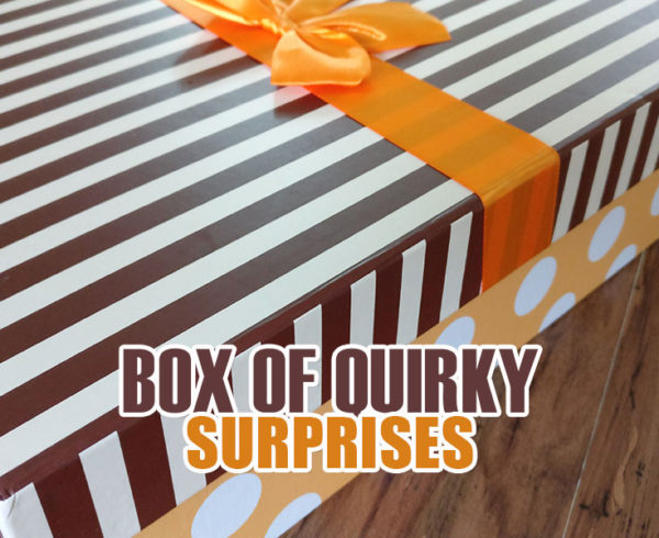 Quirky Gift Box Of Surprises