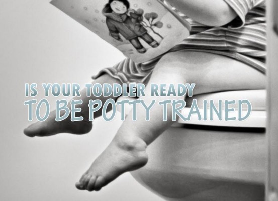 potty training readiness