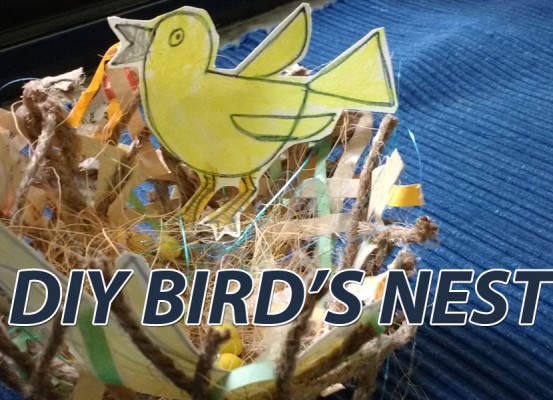 DIY-birds nest